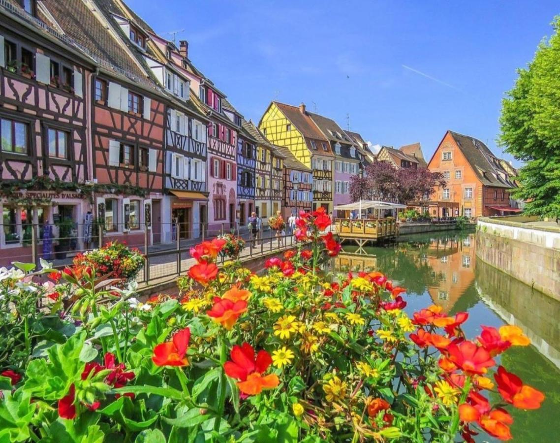 Gite Cote Cour Colmar Exterior photo